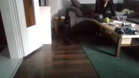 Nikola online show from 02-17-25, 11:02