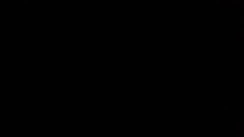 Nikola online show from 04-10-26, 08:41