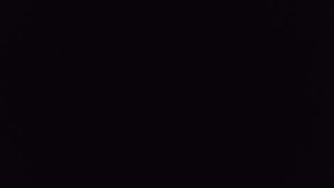 mrj1979 online show from 12-06-24, 01:22