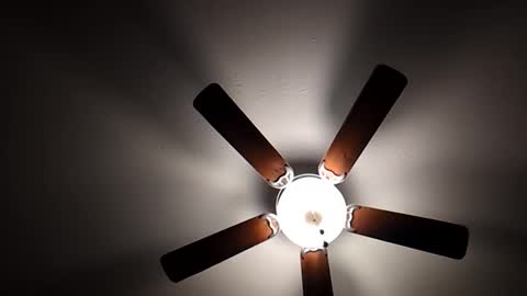 mrorange50187 online show from 12-01-24, 10:21