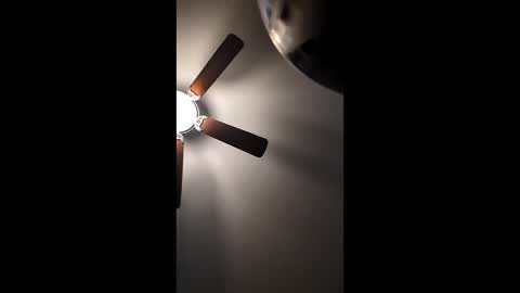 mrorange50187 online show from 12-22-24, 01:11