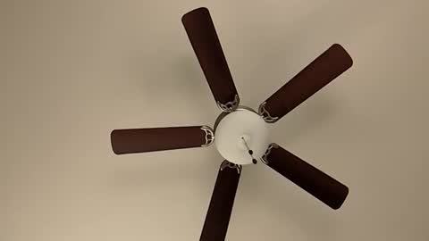 mrorange50187 online show from 01-08-25, 05:48