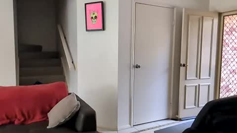 mudjimba online show from 12-16-24, 10:56