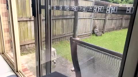 mudjimba online show from 12-17-24, 06:02