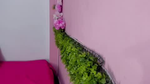 Mulan online show from 03-10-26, 12:43