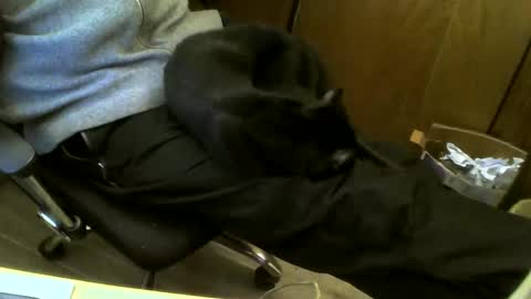 muller520 online show from 02-19-25, 05:06