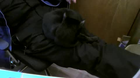 muller520 online show from 02-26-25, 03:41