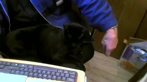 muller520 online show from 02-27-25, 05:26