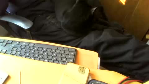 Snapshot of muller520 chatting on 04-28-26, 02:33 muller520 online show from 04-28-26, 02:33