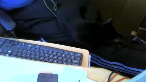 Snapshot of muller520 chatting on 05-13-26, 02:58 muller520 online show from 05-13-26, 02:58