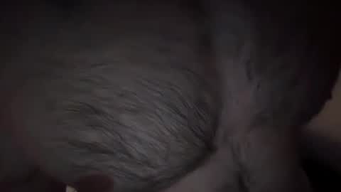 musclehair3 online show from 02-14-25, 09:53