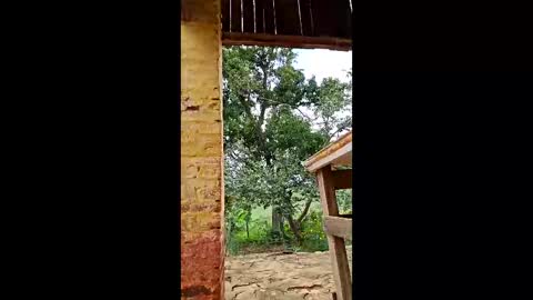 mwmgaara online show from 03-12-26, 02:56