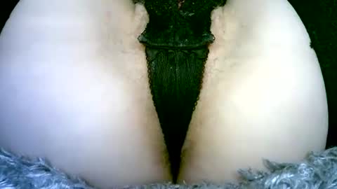 my_tightholes online show from 02-02-26, 06:50