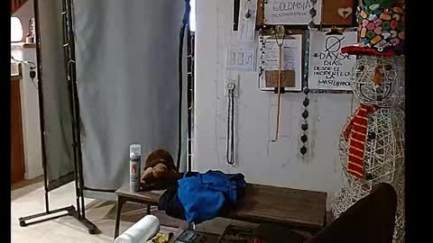 Snapshot of mycock4u247 chatting on 12-25-24, 10:50 LA MARIPOSA DE MARICOPA online show from 12-25-24, 10:50