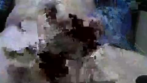 mycock594498 online show from 01-09-25, 03:12