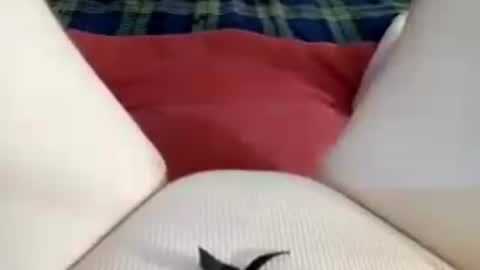 Kitty online show from 06-27-26, 11:48