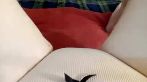 Kitty online show from 06-27-26, 12:22