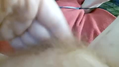 Kitty online show from 07-02-26, 11:16