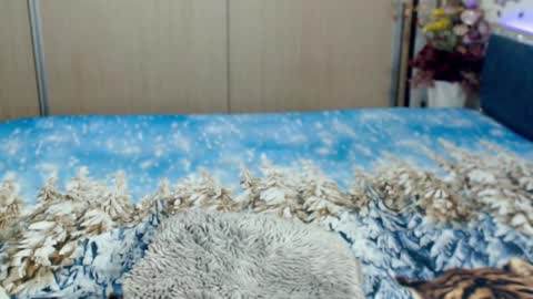 Myrabelle24 online show from 03-05-25, 10:44