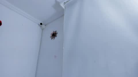 Mystery couple online show from 04-11-26, 11:36