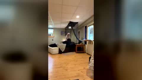 n0rmalgurl online show from 06-29-26, 04:29