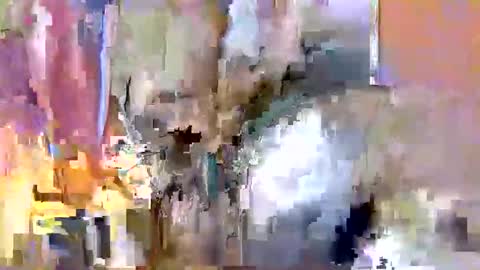 nafertiti online show from 11-10-25, 03:49