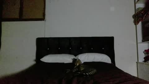 Nahomy online show from 04-01-26, 02:23