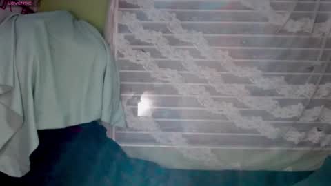 NAJI  online show from 01-17-26, 12:48