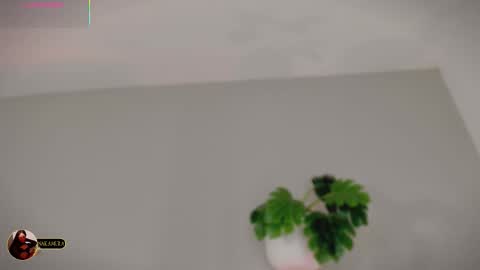 INSTAGRAM  m2221     online show from 03-03-26, 09:59