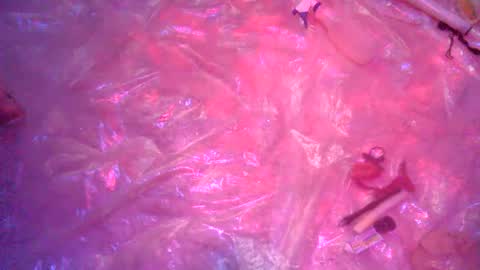 nakednate1780 online show from 12-23-24, 06:22