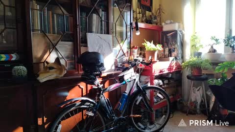 Naked Naturist online show from 04-06-26, 06:47