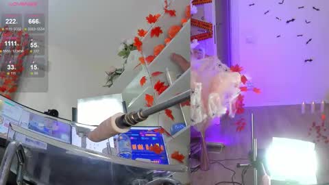 INSTAGRAM     bekkercat  online show from 11-06-25, 12:28