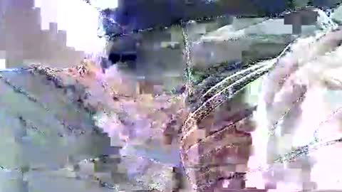 Nane online show from 11-19-25, 12:16