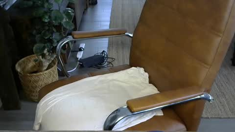 Snapshot of nareth338 chatting on 10-03-25, 03:53 nareth338 online show from 10-03-25, 03:53