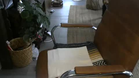 nareth338 online show from 01-06-26, 04:21