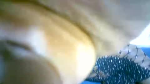 Marie online show from 09-13-25, 04:34