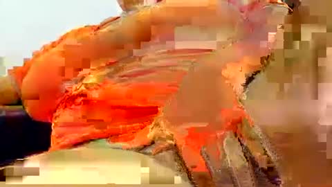 Snapshot of natasha_klaus1 chatting on 10-23-25, 02:44 natasha_klaus1 online show from 10-23-25, 02:44