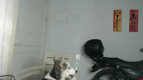 Stella Mcqueen online show from 12-31-24, 12:25