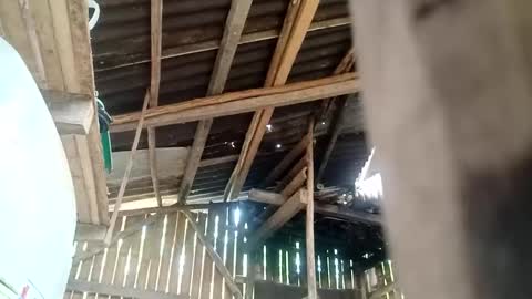 naughty_babex online show from 05-10-26, 05:12