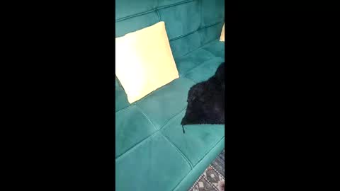 call me sheyda online show from 04-21-26, 09:06