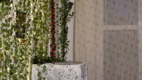 Snapshot of naughtyhomemade17 chatting on 05-17-26, 06:48 Mya Alexya online show from 05-17-26, 06:48