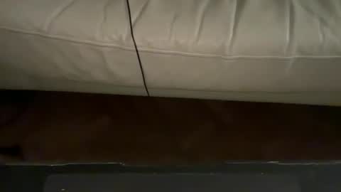 navigatingtothesky online show from 11-18-25, 11:48