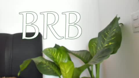 Nayah Williams  - OnlyFans  online show from 12-07-24, 04:36