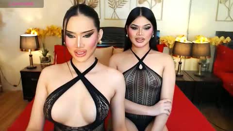 F R A N Z I A online show from 02-13-26, 08:27