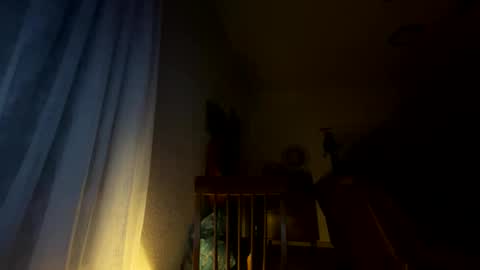 nboss55 online show from 10-08-25, 05:16