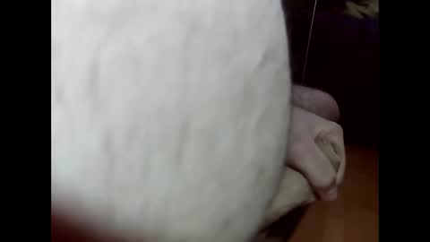 Snapshot of ncbncb chatting on 03-01-25, 08:21 ncbncb online show from 03-01-25, 08:21