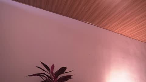 Snapshot of ne_fertari chatting on 05-19-26, 01:06 Nefertari online show from 05-19-26, 01:06