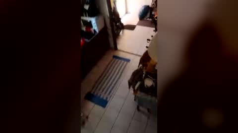 Snapshot of neamtu78 chatting on 08-01-26, 12:15 neamtu online show from 08-01-26, 12:15