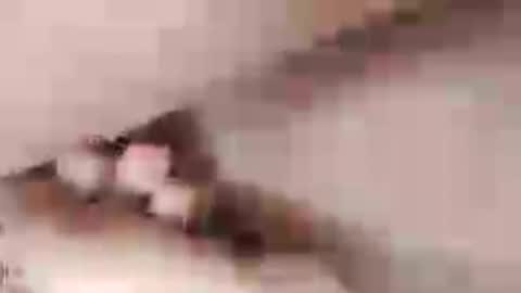 negrett_ online show from 06-01-26, 05:03