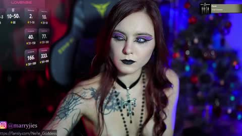 Snapshot of nelle_ chatting on 12-29-24, 10:23    online show from 12-29-24, 10:23